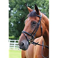 Gallop Brida acolchada y riendas de goma- negro - Full - Large